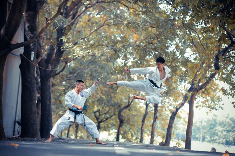 Hapkido in Vergleich zu Taekwondo
