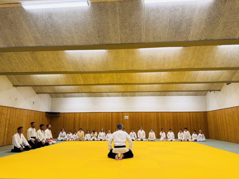Hapkido Steiermark