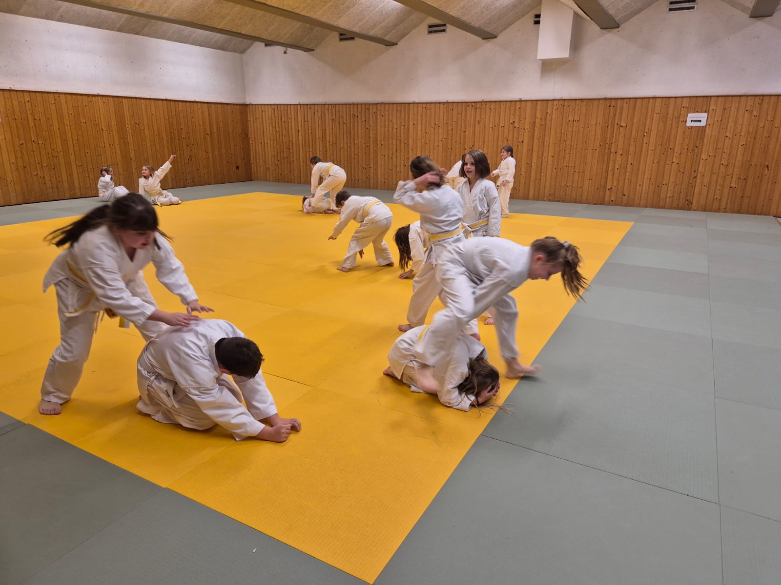 HapKiDo Leibnitz Training