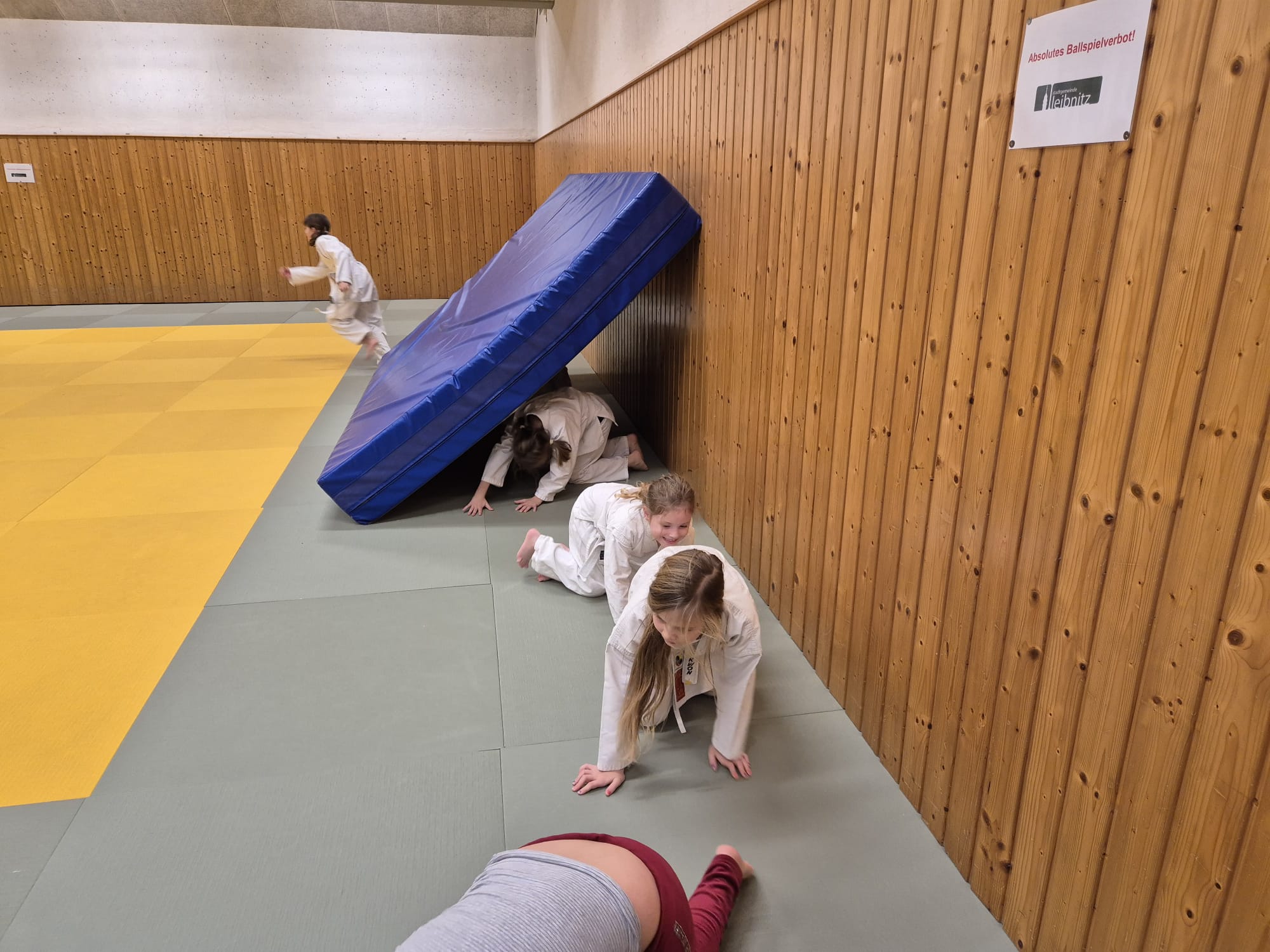HapKiDo Leibnitz Training