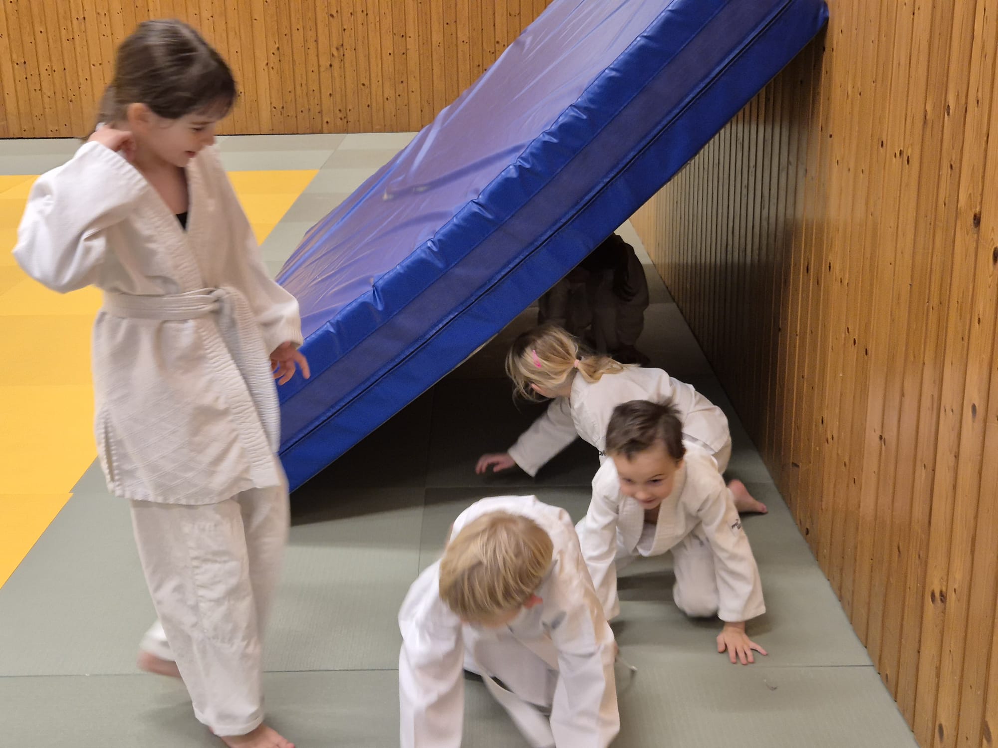 HapKiDo Leibnitz Training