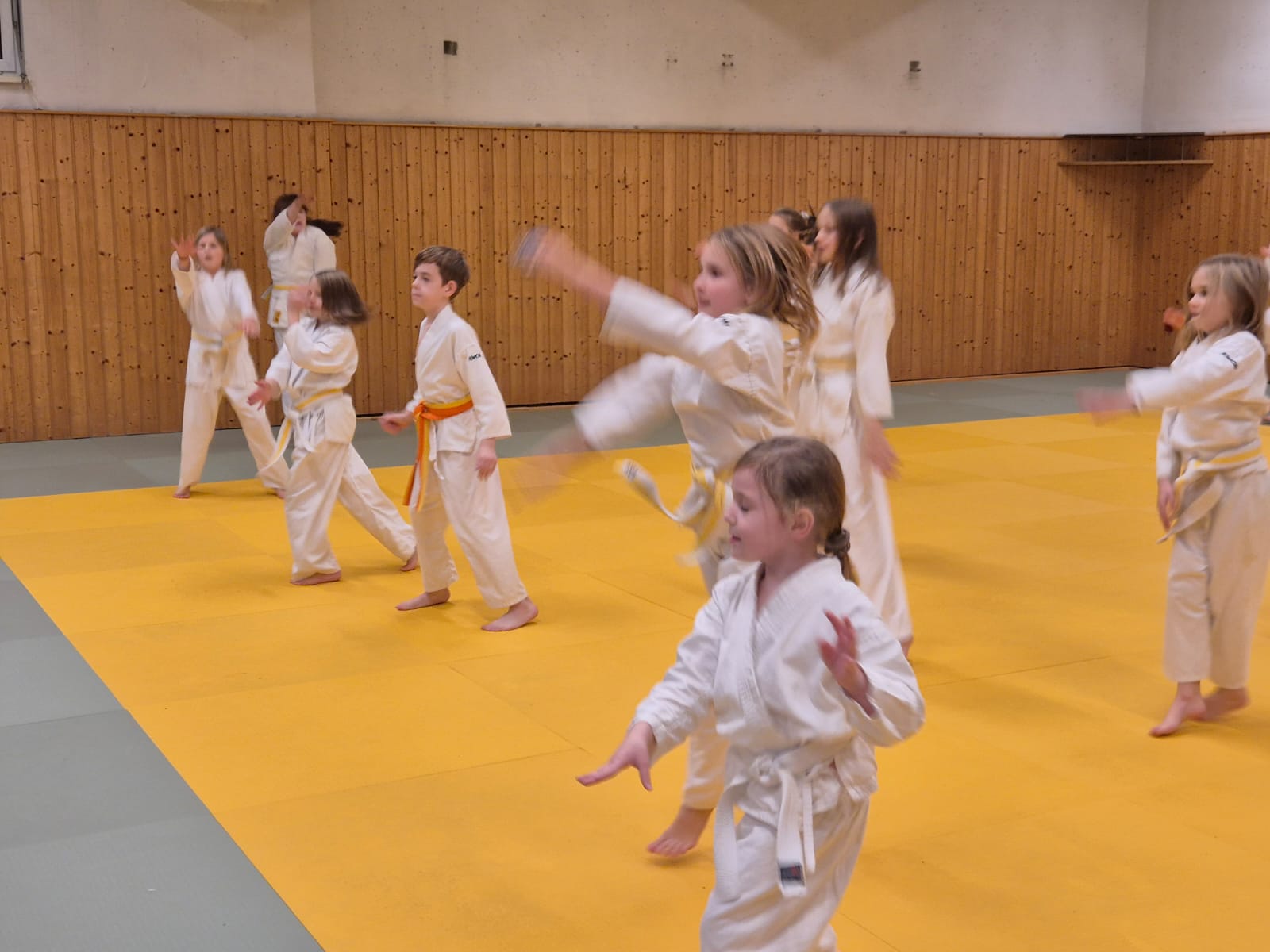 HapKiDo Leibnitz Training